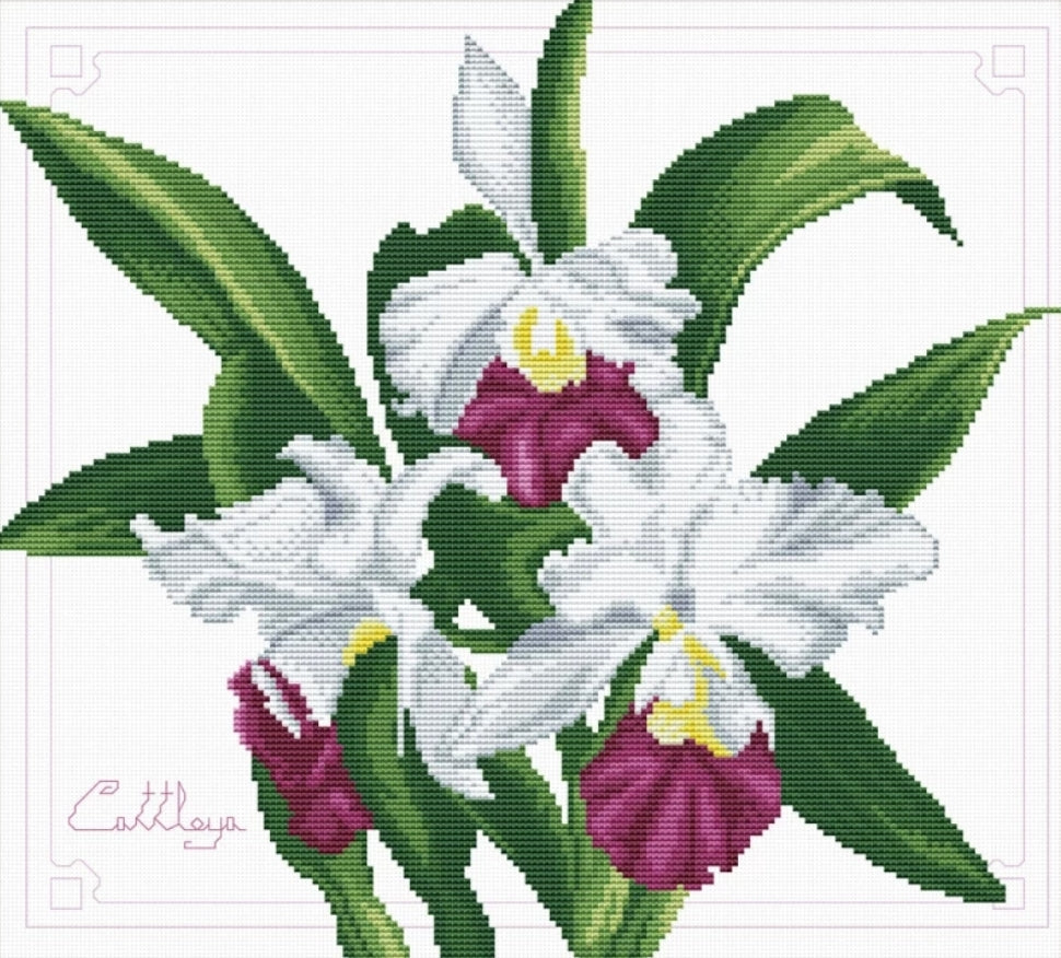 (No-Count Cross Stitch Kit) Bouquet of Orchids by Needleart World