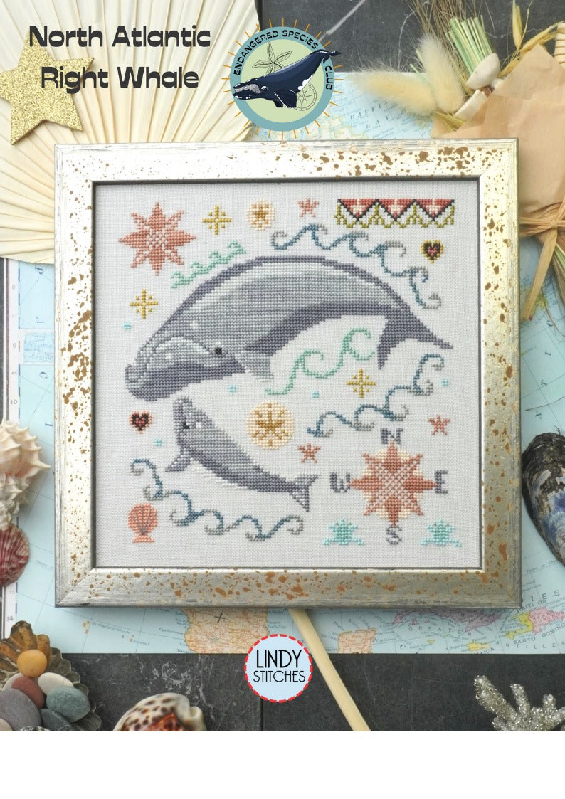 ✓ North Atlantic Right Whale by Lindy Stitches