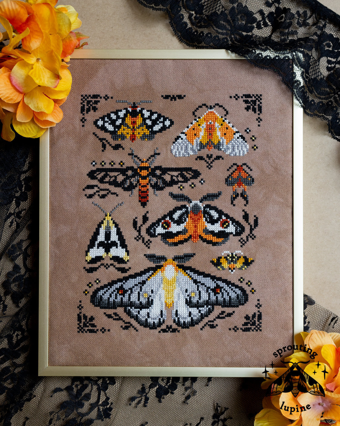 *Preorder* Ochre Wings by Sprouting Lupine