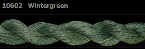 10602 Wintergreen | 6 Strand 20 Yard Skein Embroidery Floss by Threadworx-Cross Stitch-Threadworx-Millennial Fabrics