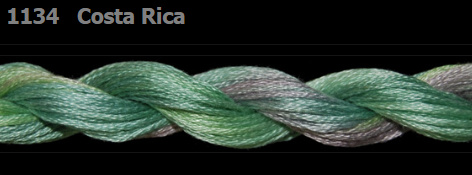 1134 Costa Rica | 6 Strand 20 Yard Skein Embroidery Floss by Threadworx-Cross Stitch-Threadworx-Millennial Fabrics