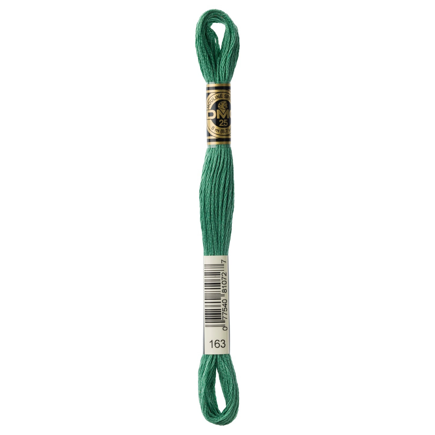 DMC 6 Strand Cotton Embroidery Floss #163 - Green
