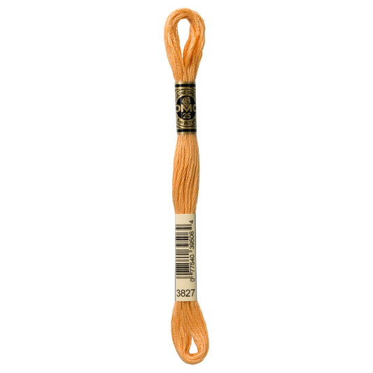 DMC 6 Strand Cotton Embroidery Floss #3827 - Golden Brown Pale