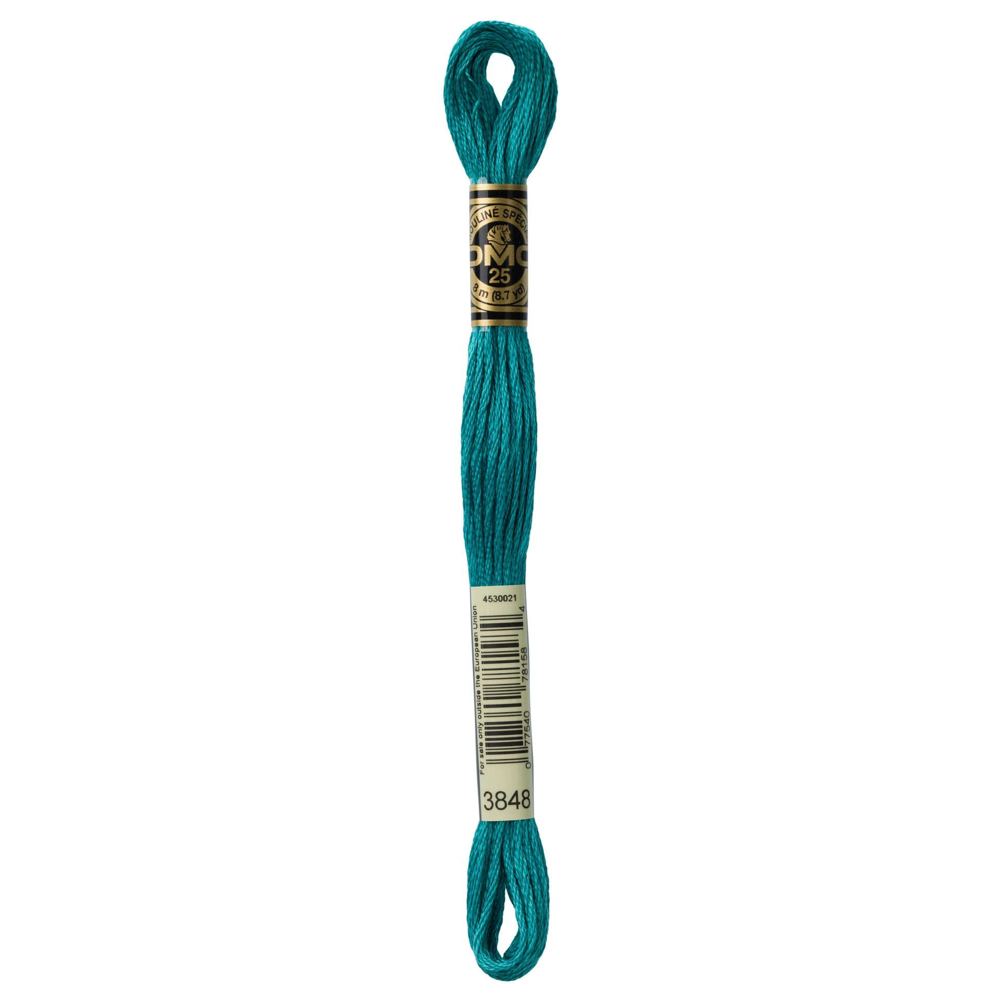 DMC 6 Strand Cotton Embroidery Floss #3848 - Teal Green Medium-Cross Stitch-DMC Floss-Millennial Fabrics