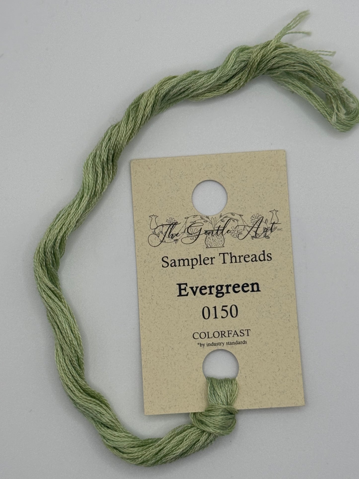 0150 Evergreen | 6 Strand Embroidery Floss by The Gentle Art