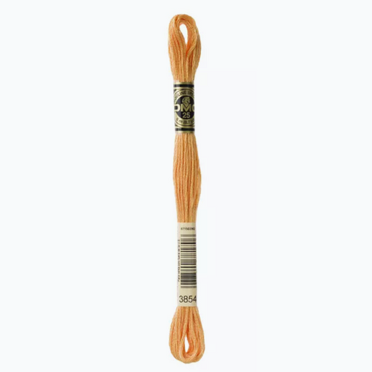 DMC 6 Strand Cotton Embroidery Floss #3854 - Autumn Gold Medium