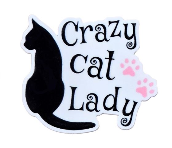 ✩Preorder✩ Crazy Cat Lady Needle Minder by Mind your Needle