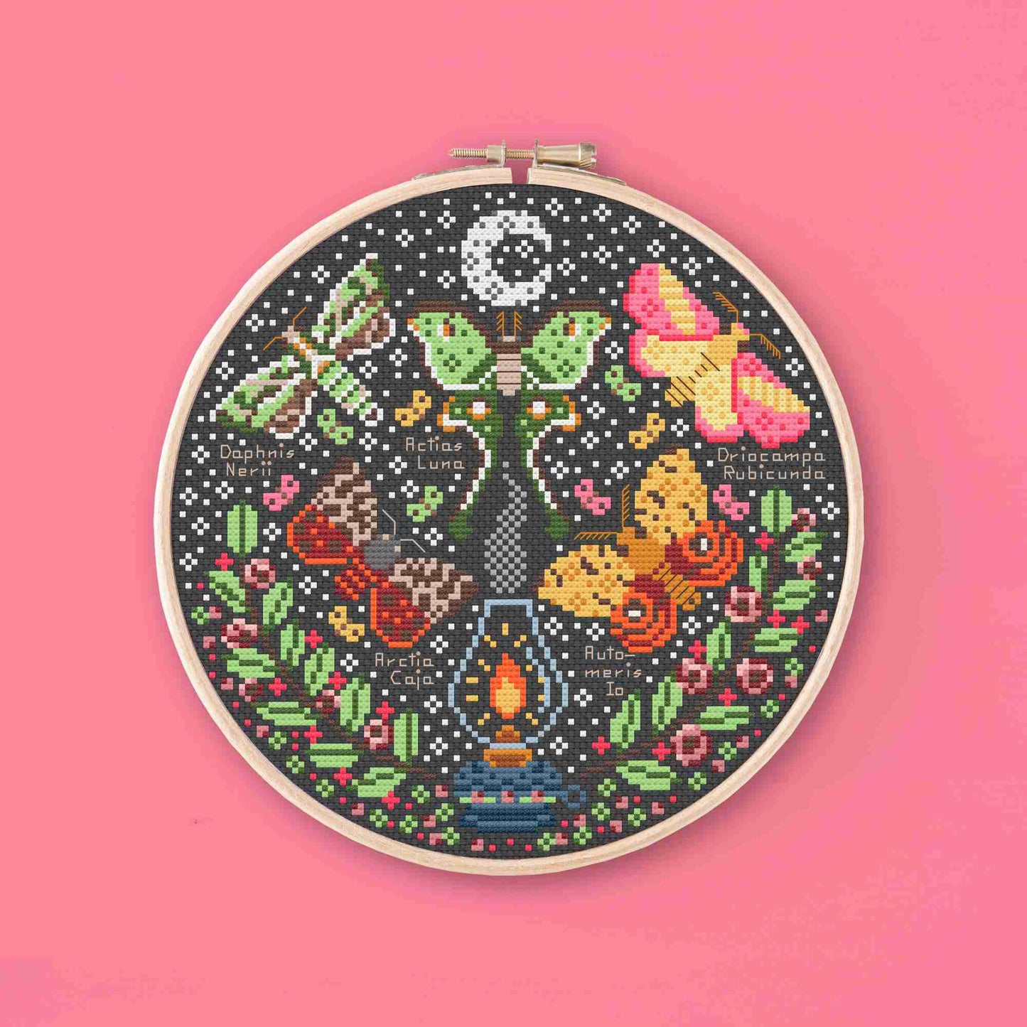*Preorder* Beautiful Moths by Una Buena Pieza