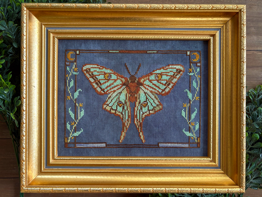 ✩Preorder✩ Spanish Moon Moth by Petal Pusher