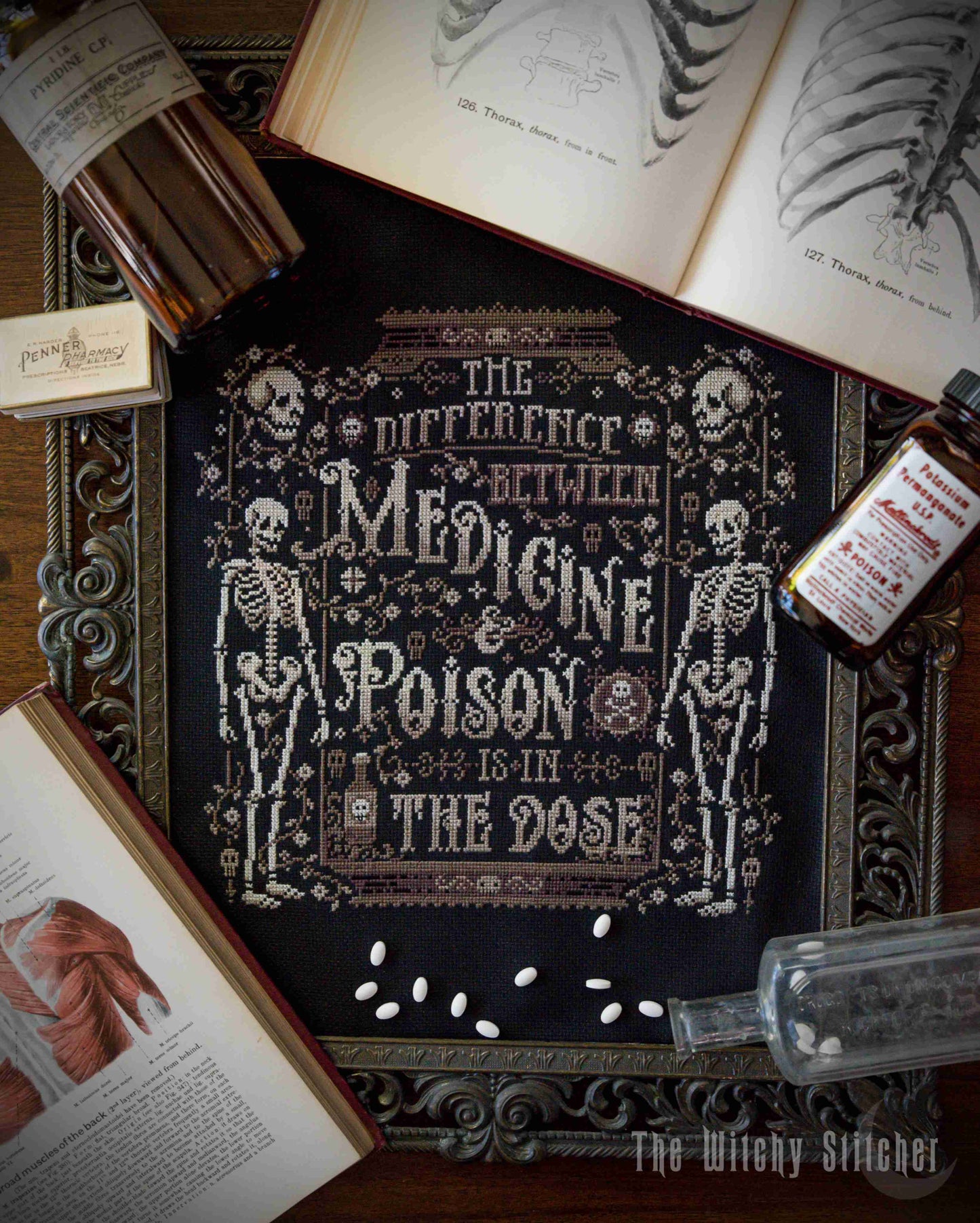 *Preorder* The Difference Between Medicine & Poison by The Witchy Stitcher