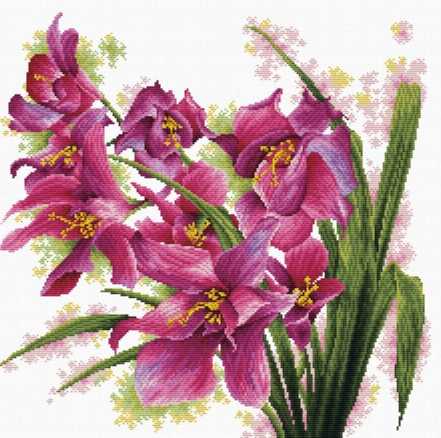 (No-Count Cross Stitch Kit) Lovely Orchids by Needleart World