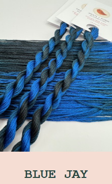 Blue Jay | 6 Strand Embroidery Floss by Pirate + Robin