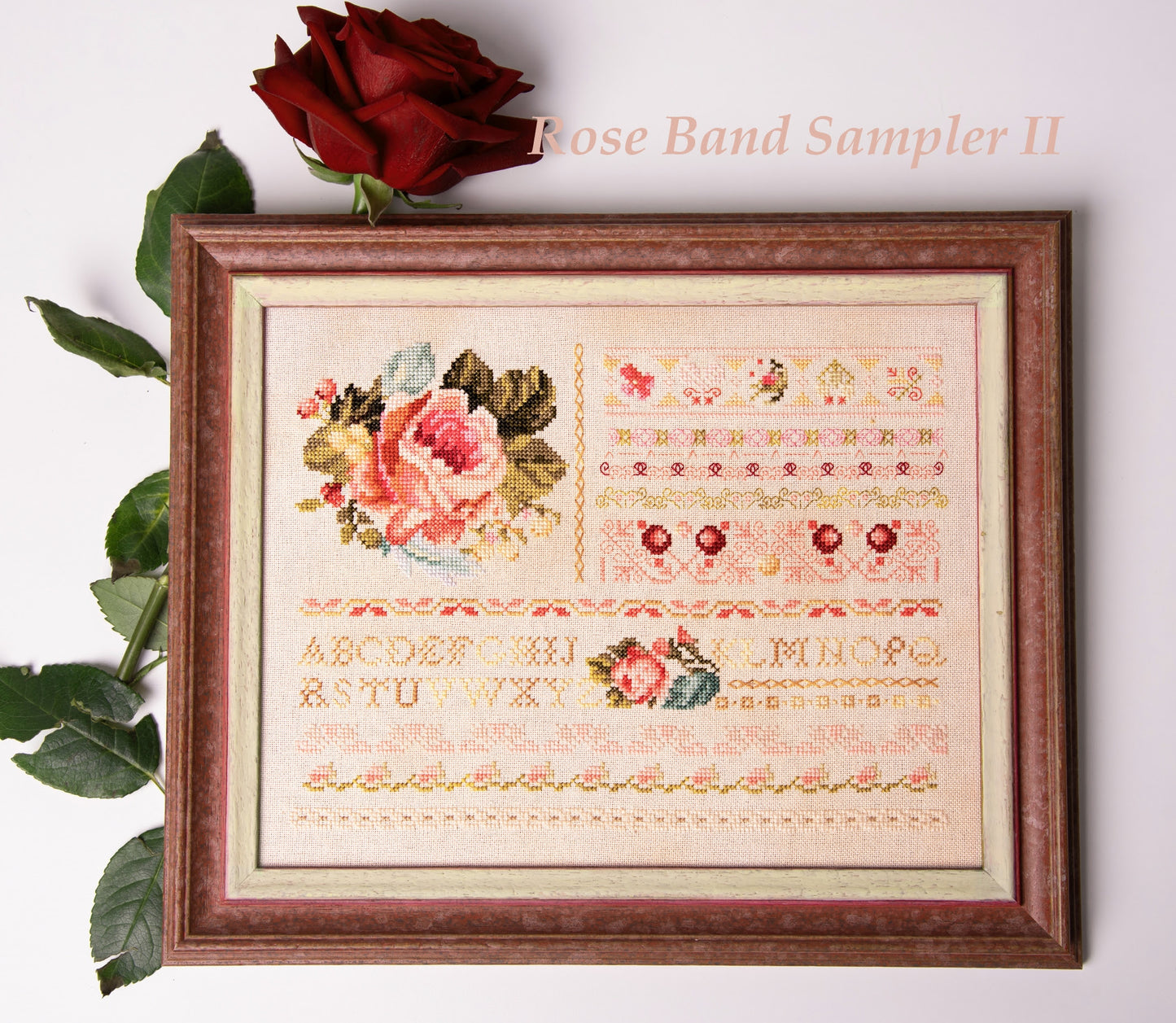 Rose Band Sampler II by Samplers and Primitives