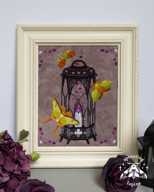 *Preorder* Violet Glow by Sprouting Lupine